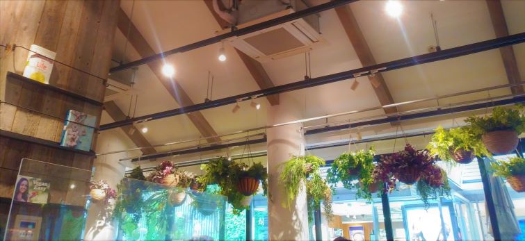 東京：新宿【ビーガンメニューのお店！Mr.FARMER (ミスターファーマー) <新宿ミロード>】おしゃれカフェ巡り散歩