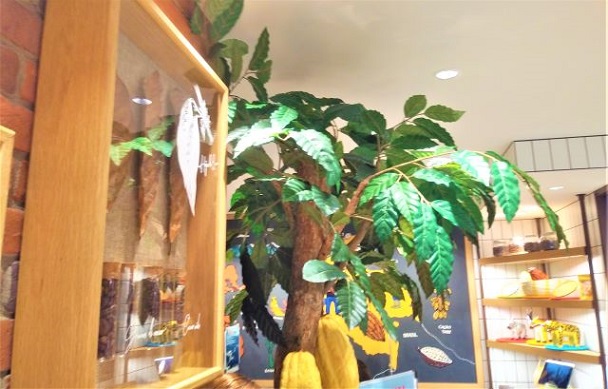 東京駅構内GRANSTA（グランスタ）【高級チョコレートカフェ！CACAO HUNTERS+(カカオハンターズプラス)】東京ひとりオシャレカフェ巡り散歩