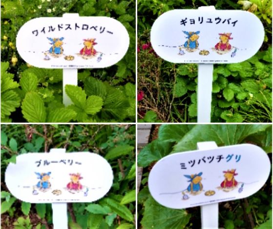 【立川グリーンスプリングス】PLAY! MUSEUM と PARK CAFE　ぐりとぐらのカフェ