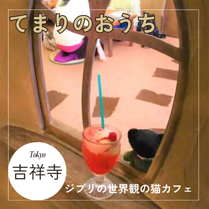 東京：武蔵野/吉祥寺【ジブリの世界観！てまりのおうち ＜ 猫カフェ (Cat Cafe) ＞】おしゃれカフェ巡り散歩
