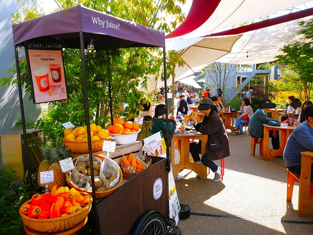 【東京下北沢】BONUS TRAC（発酵デパートメント）下北線路街空地(空地カフェ)どんなところ？