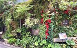 i2 cafeの花に包まれた外観