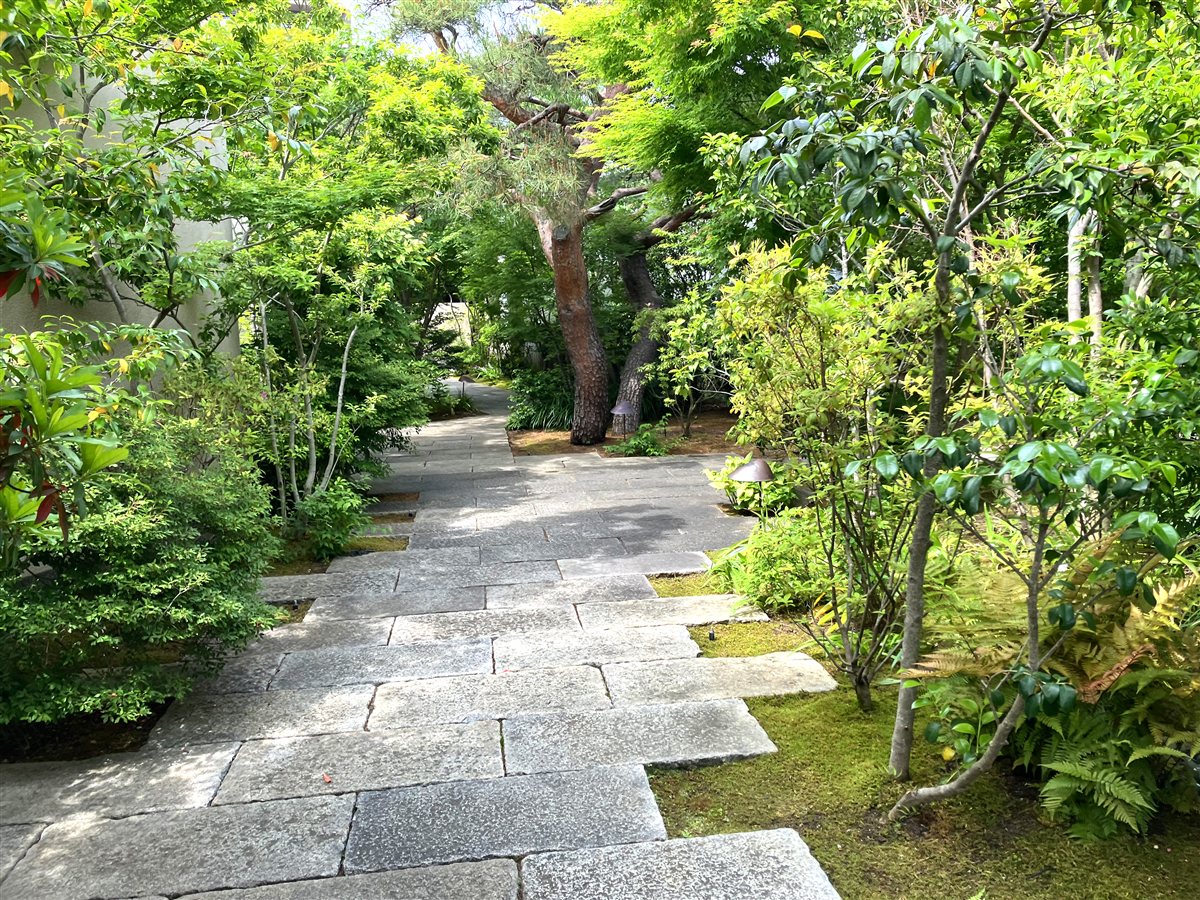 Auberge TOKITOの庭園。石畳の小道と松、青もみじ