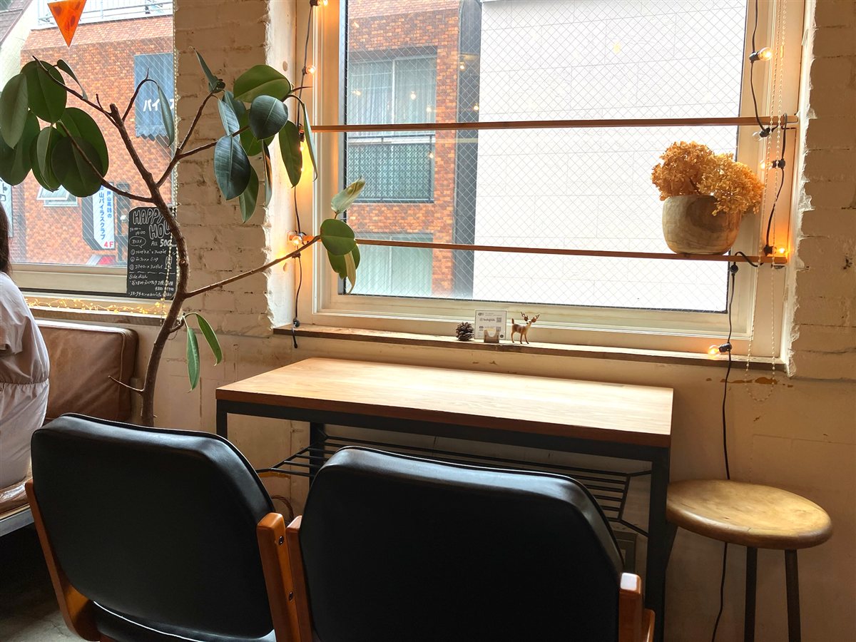 cafe WALLの窓際のテーブル席。裸電球のライトと大きな観葉植物、ドライフラワー