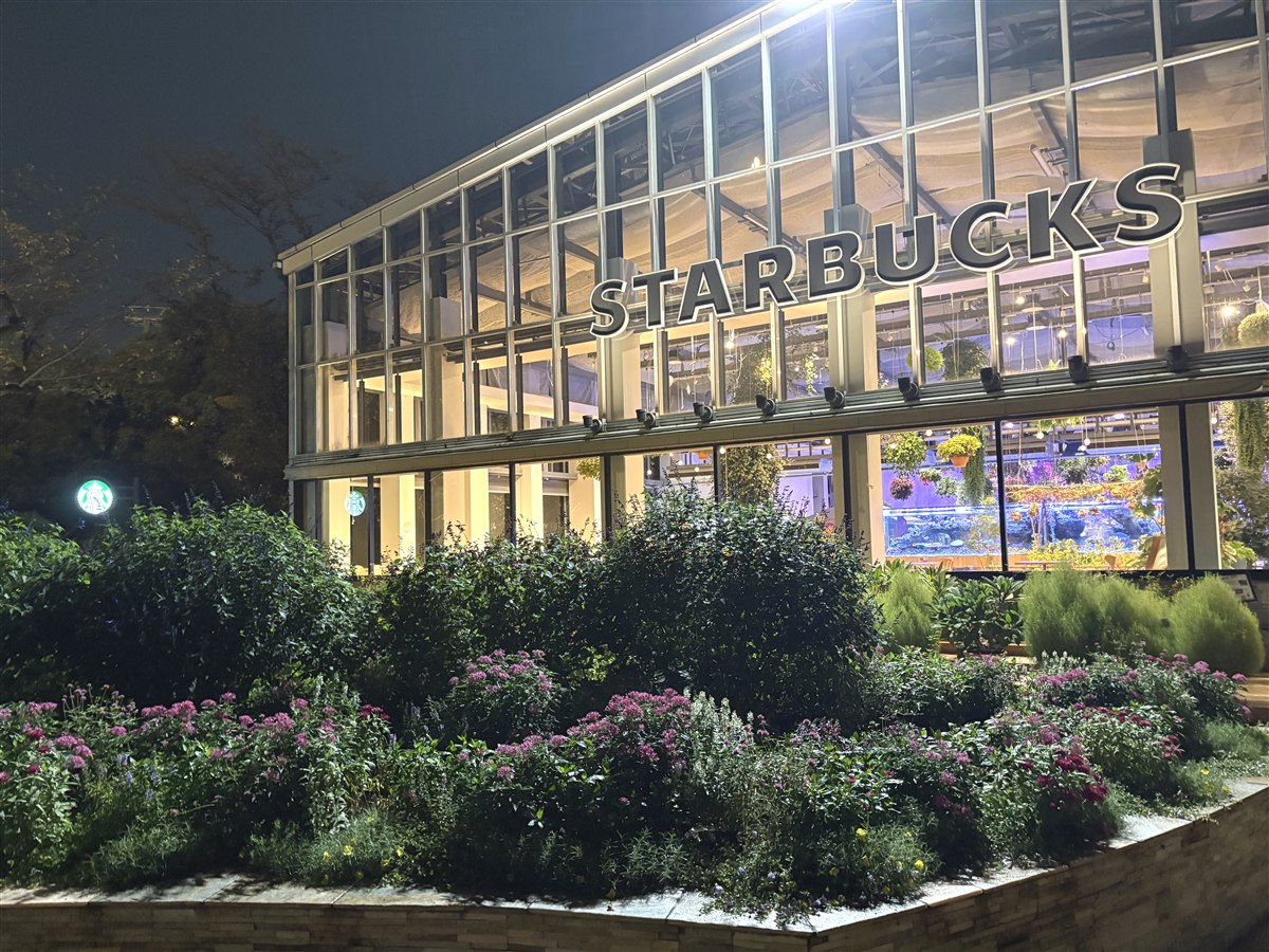 夜のHANA・BIYORIのスターバックスの外観。STARBUCKSの立体看板と手前の花壇