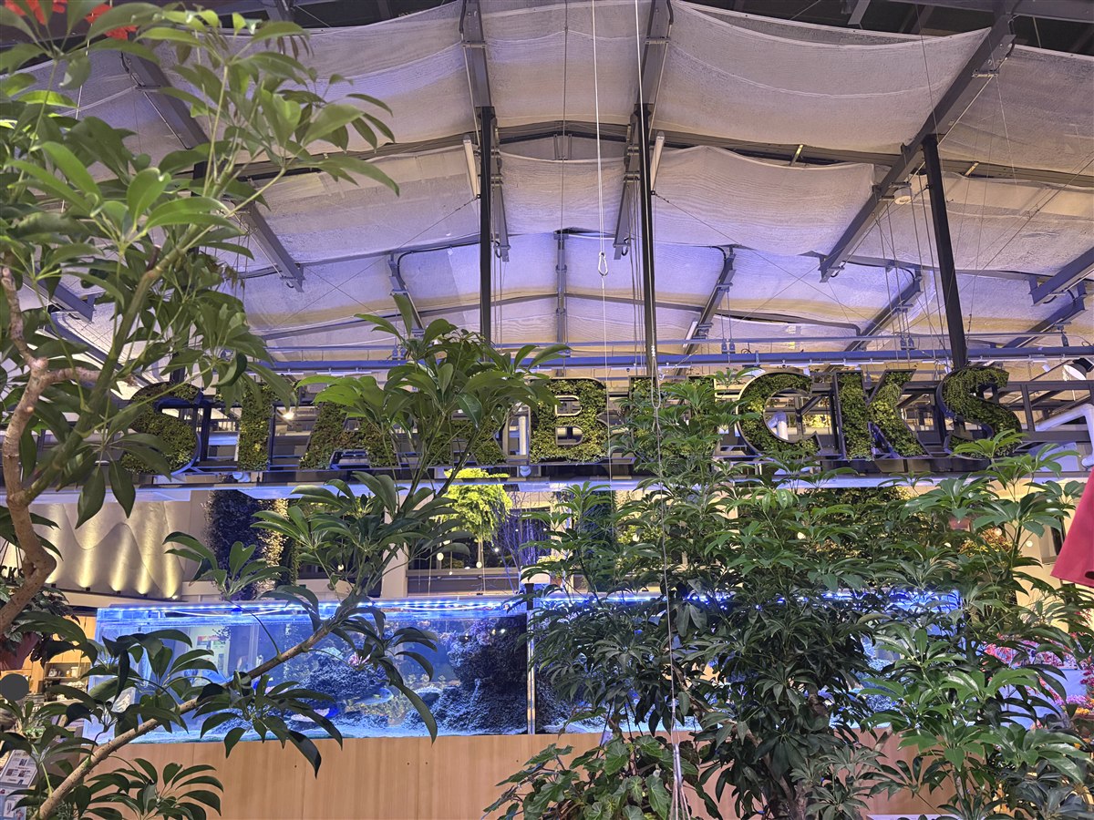 【稲城】日本初の植物園内スタバ！全方位お花に囲まれた新感覚の「HANA・BIYORI店」が映えると話題