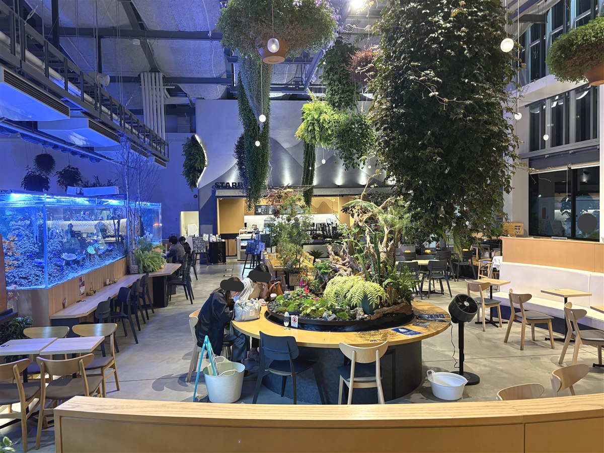 HANA・BIYORIのスターバックスの吹き抜けの店内と、天井から吊り下げられた植物