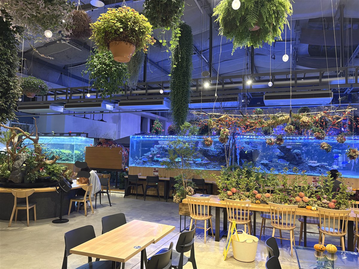 HANA・BIYORIのスターバックスの店内にある一面の大水槽とカウンター席