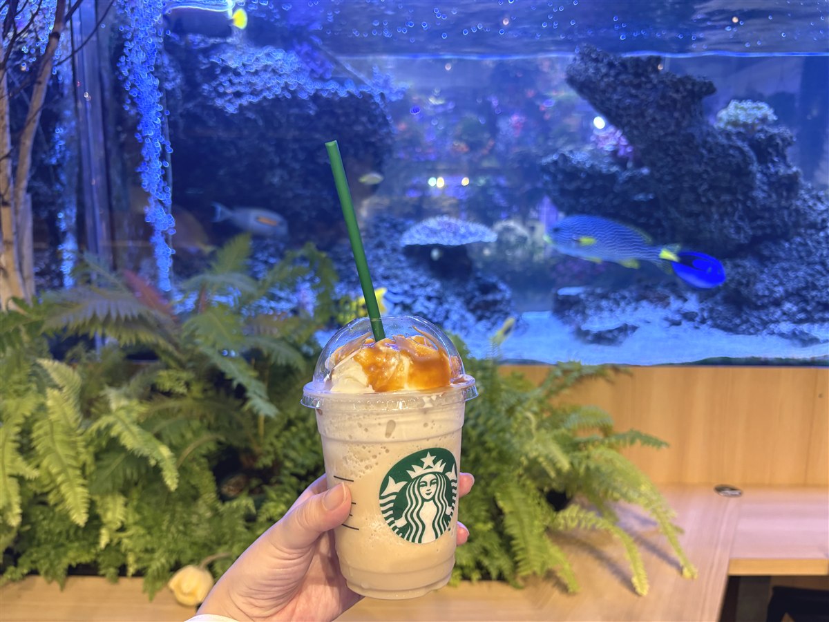 HANA・BIYORIのスターバックスで、大水槽を背景に持ったキャラメル系のフラペチーノ